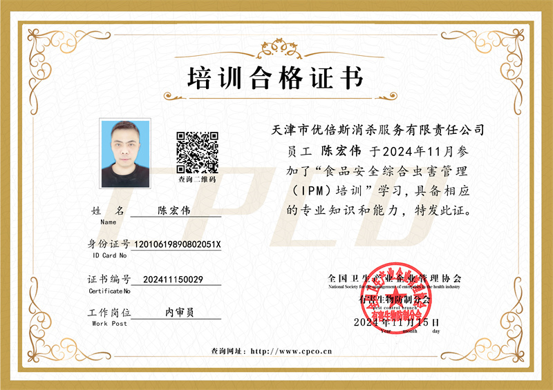 陈宏伟培训合格证书