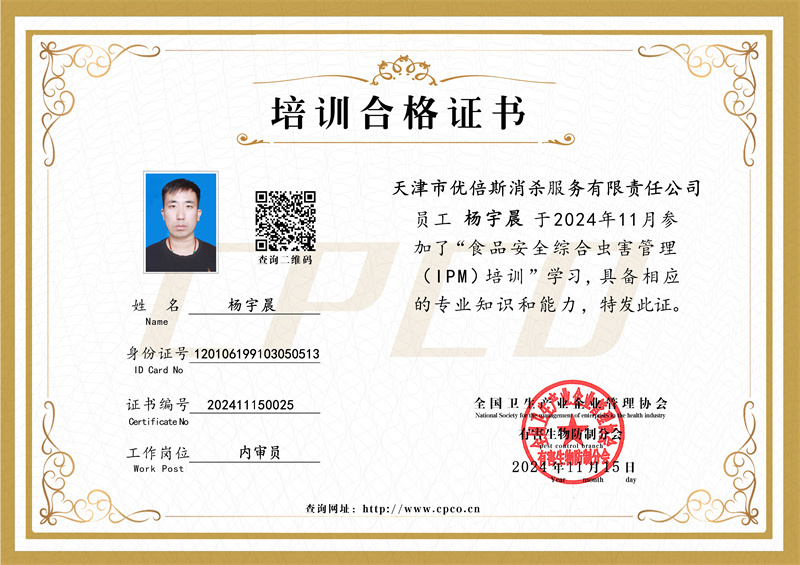 杨宇晨培训合格证书